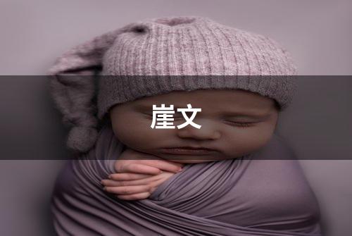 崖文