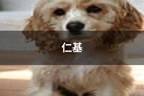 仁基