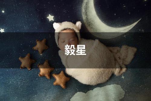 毅星