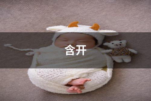 含开