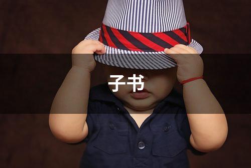 子书