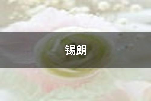 锡朗