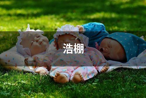 浩棚