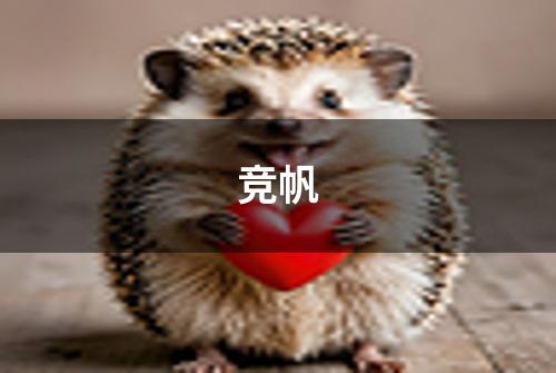 竞帆