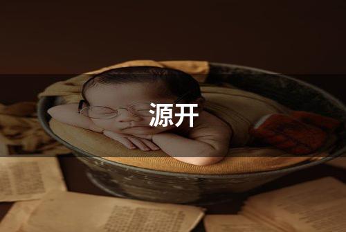 源开