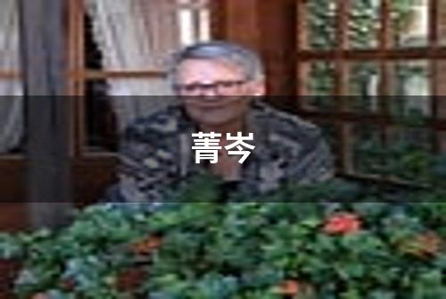 菁岑