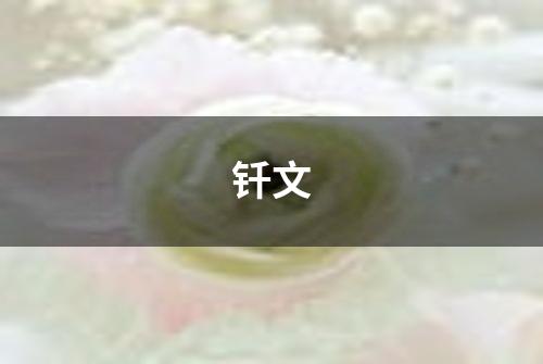 钎文