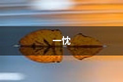 一忱