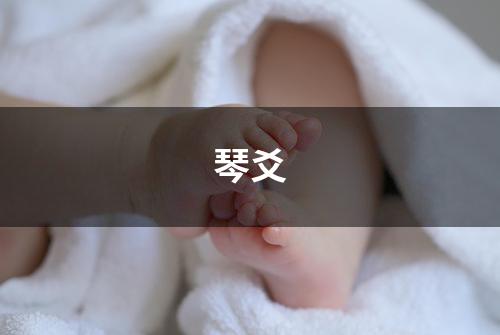 琴爻
